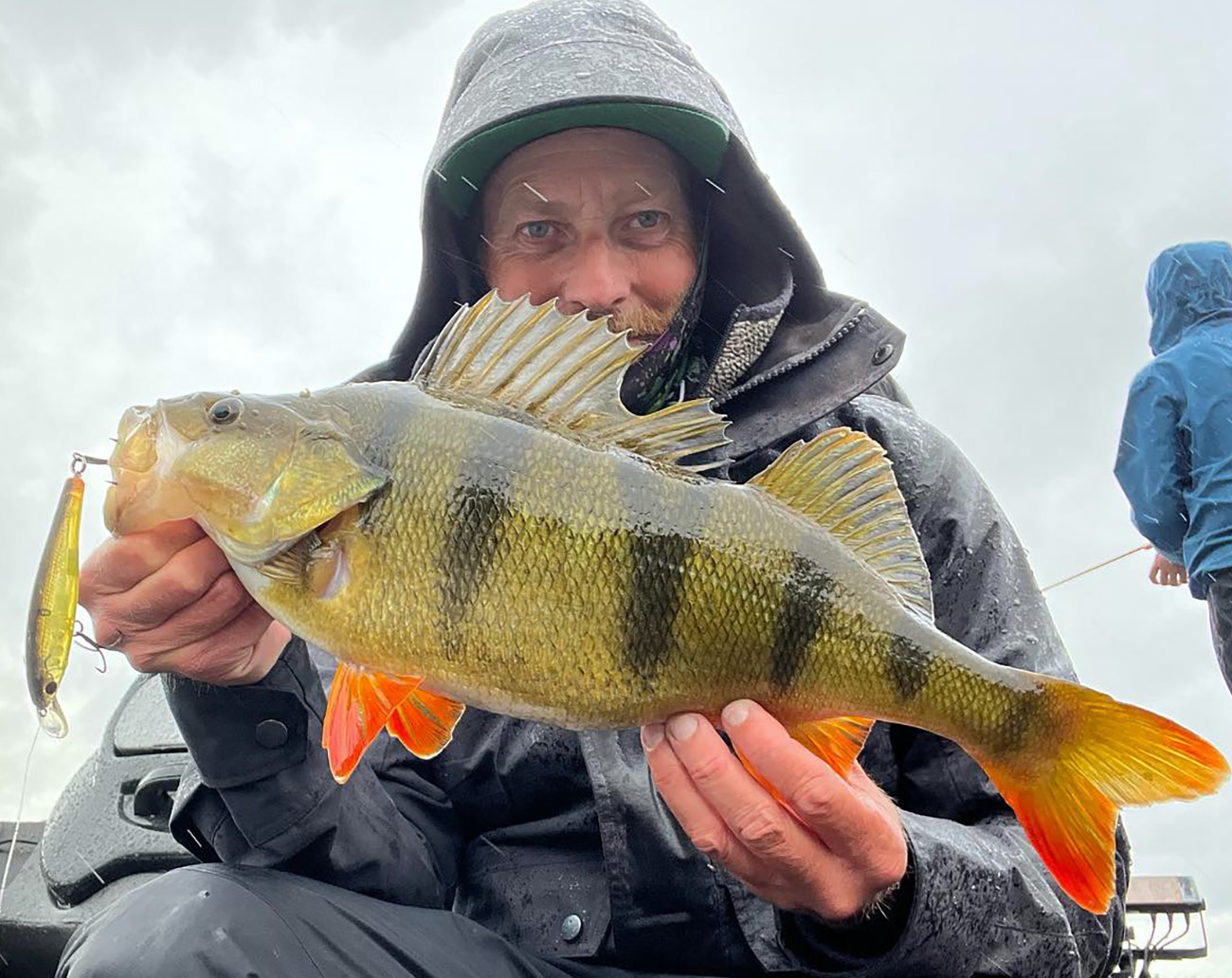 RenzStein Beastly Minnow